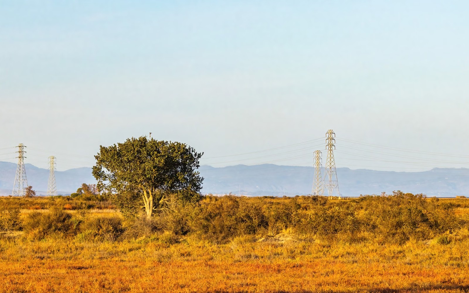 Delaware Basin Mineral Rights Delaware Basin Mineral Rights